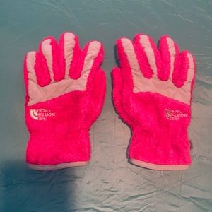 North face gloves